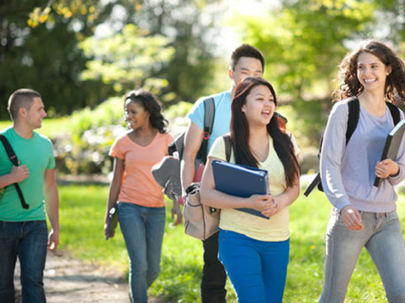 安卓ddos攻击工具